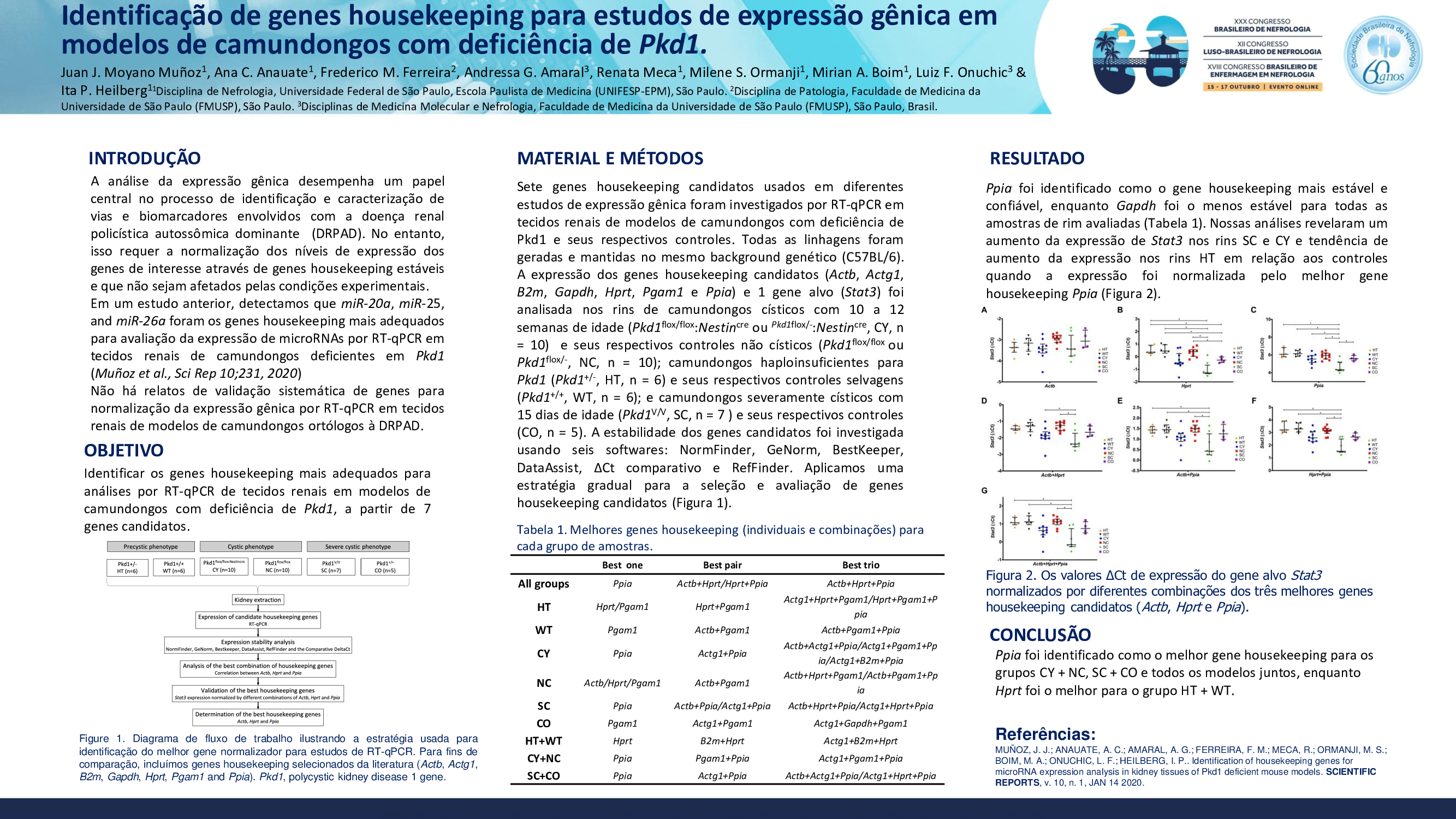 IDENTIFICAÇÃO DE GENES HOUSEKEEPING PARA ESTUDOS DE EXPRESSÃO GÊNICA EM MODELOS DE CAMUNDONGOS COM DEFICIÊNCIA DE PKD1