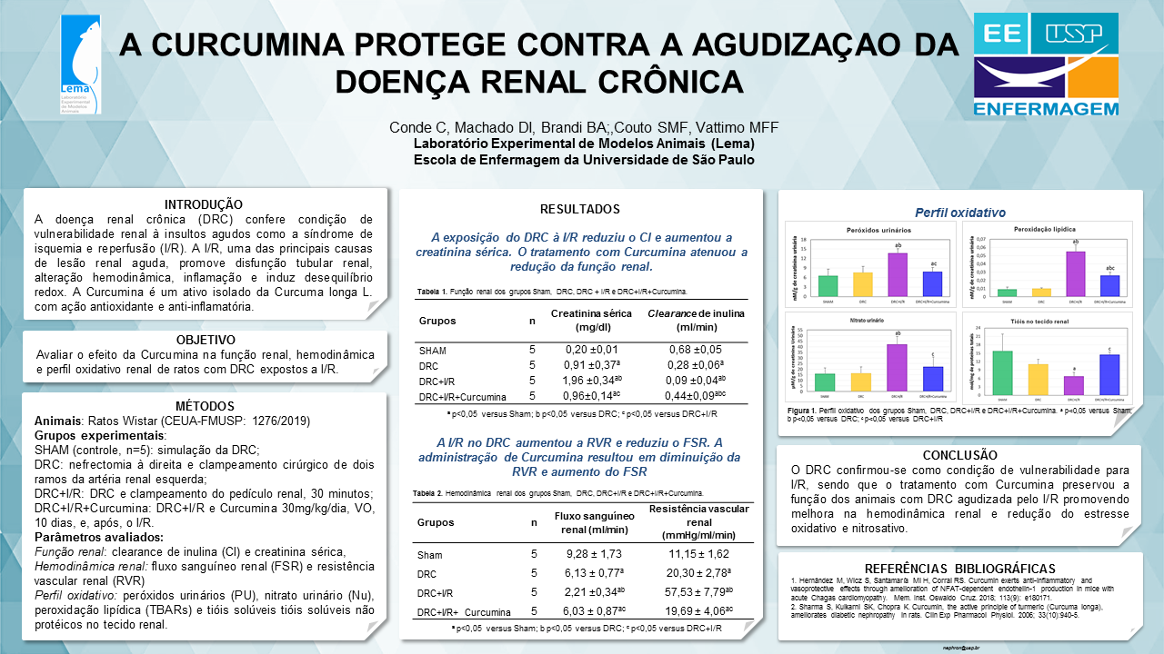 A CURCUMINA PROTEGE CONTRA A AGUDIZAÇAO DA DOENÇA RENAL CRÔNICA