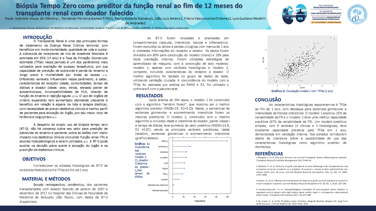 BIÓPSIA TEMPO ZERO COMO PREDITOR DA FUNÇÃO RENAL AO FIM DE 12 MESES DO TRANSPLANTE RENAL COM DOADOR FALECIDO