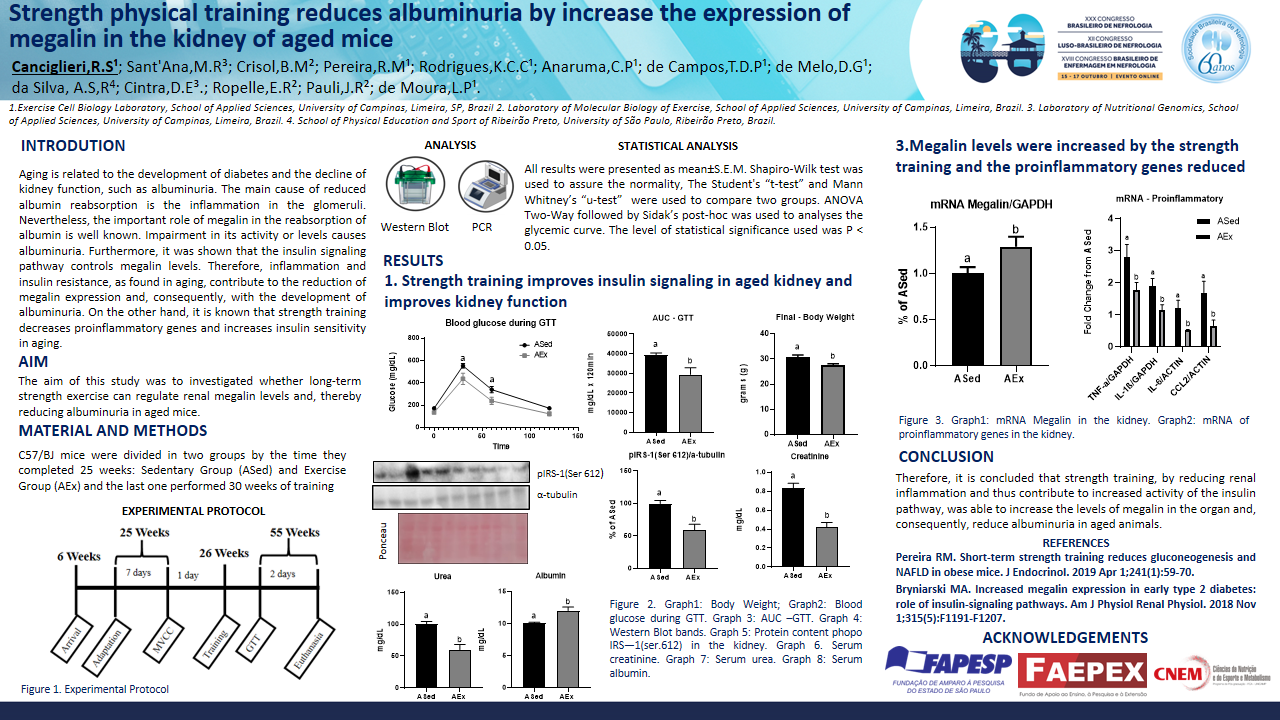 STRENGTH EXERCISE TRAINING REDUCES ALBUMINURIA BY INCREASING THE EXPRESSION OF MEGALIN IN THE KIDNEY OF AGED MICE