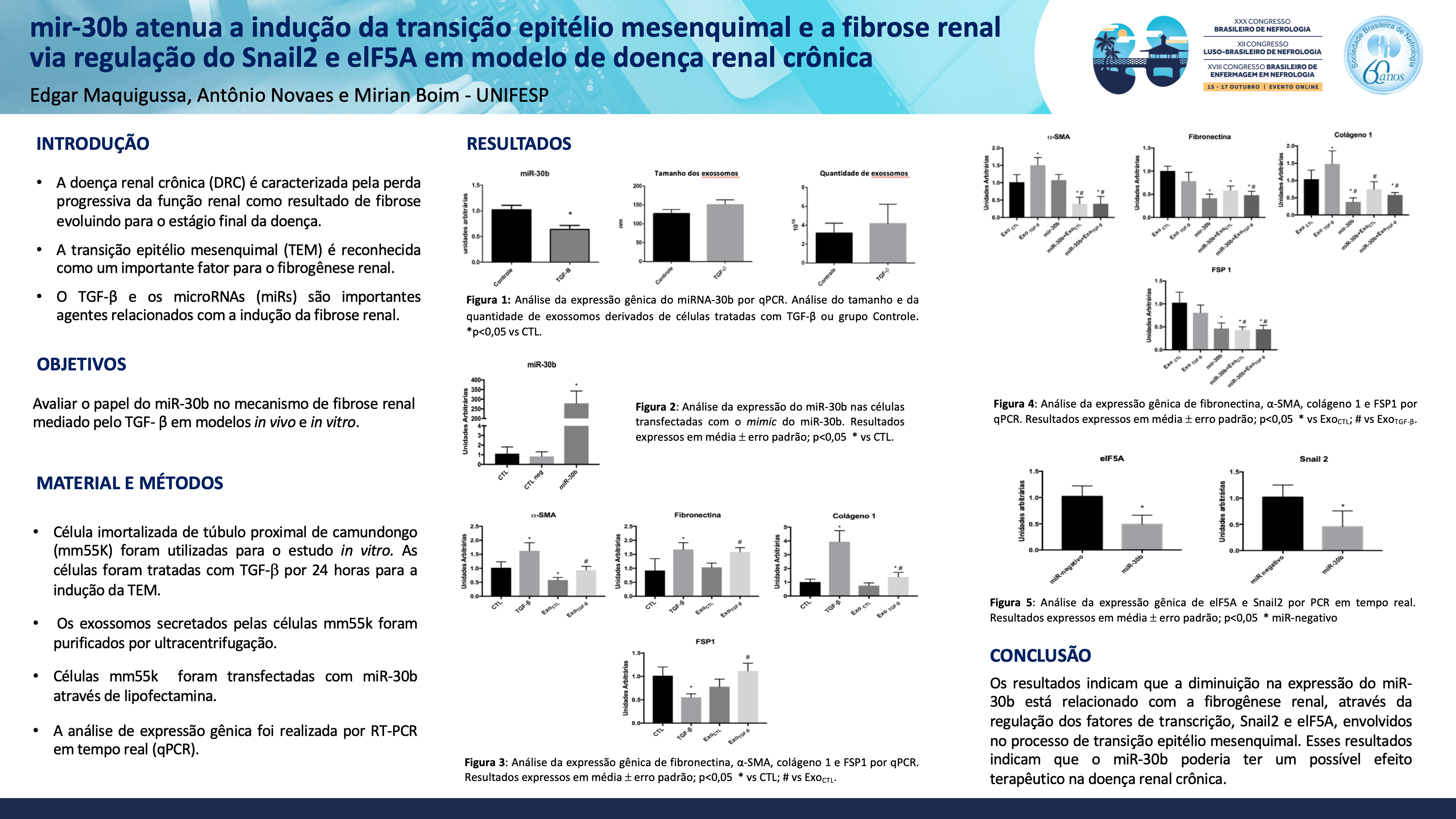 MIR-30B ATENUA A INDUÇÃO DA TRANSIÇÃO EPITÉLIO MESENQUIMAL VIA REGULAÇÃO DO SNAIL1 E ELF5A EM MODELO DE DOENÇA RENAL CRÔNICA