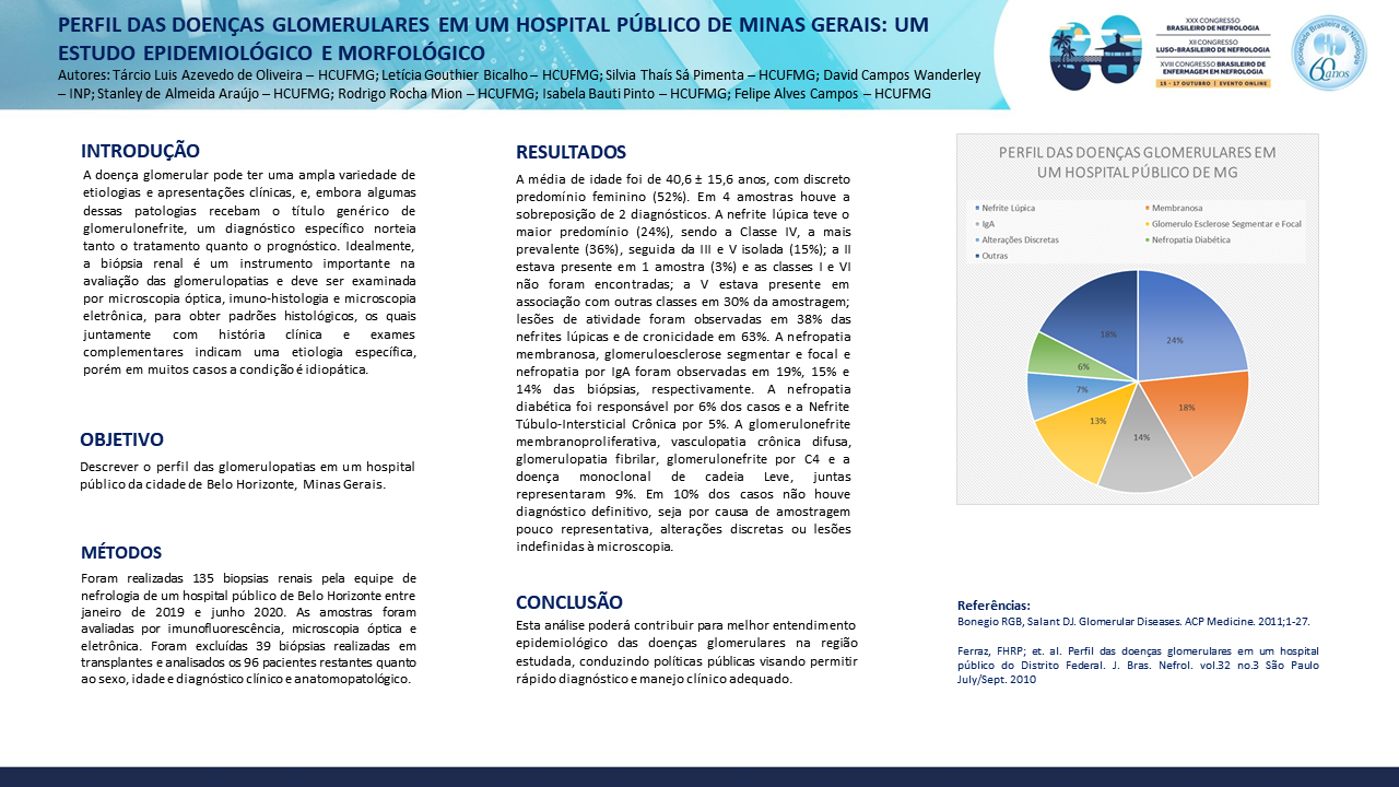 PERFIL DAS DOENÇAS GLOMERULARES EM UM HOSPITAL PÚBLICO DE MINAS GERAIS: UM ESTUDO EPIDEMIOLÓGICO E MORFOLÓGICO