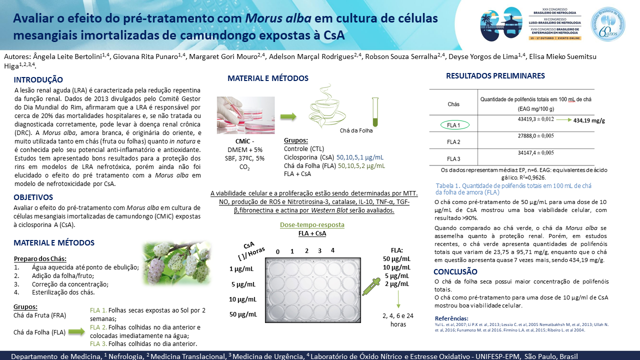 AVALIAR O EFEITO DO PRÉ-TRATAMENTO COM MORUS ALBA EM CULTURA DE CÉLULAS MESANGIAIS IMORTALIZADAS DE CAMUNDONGO EXPOSTAS À CSA