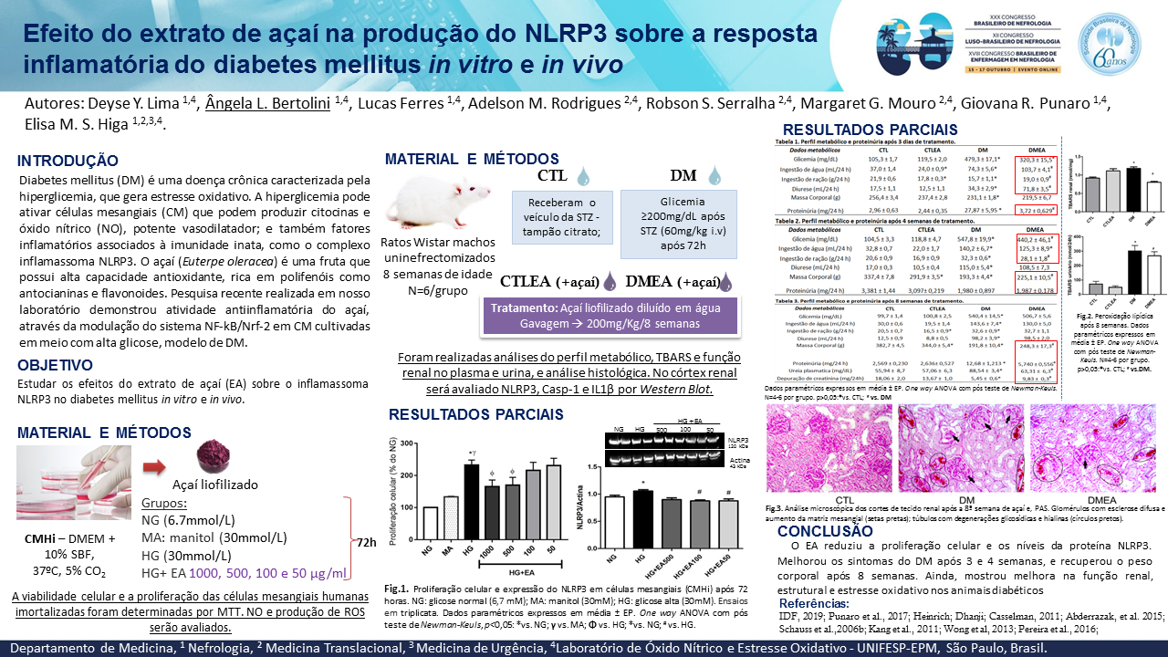 EFEITO DO EXTRATO DE AÇAÍ NA PRODUÇÃO DO NLRP3 SOBRE A RESPOSTA INFLAMATÓRIA DO DIABETES MELLITUS IN VITRO E IN VIVO