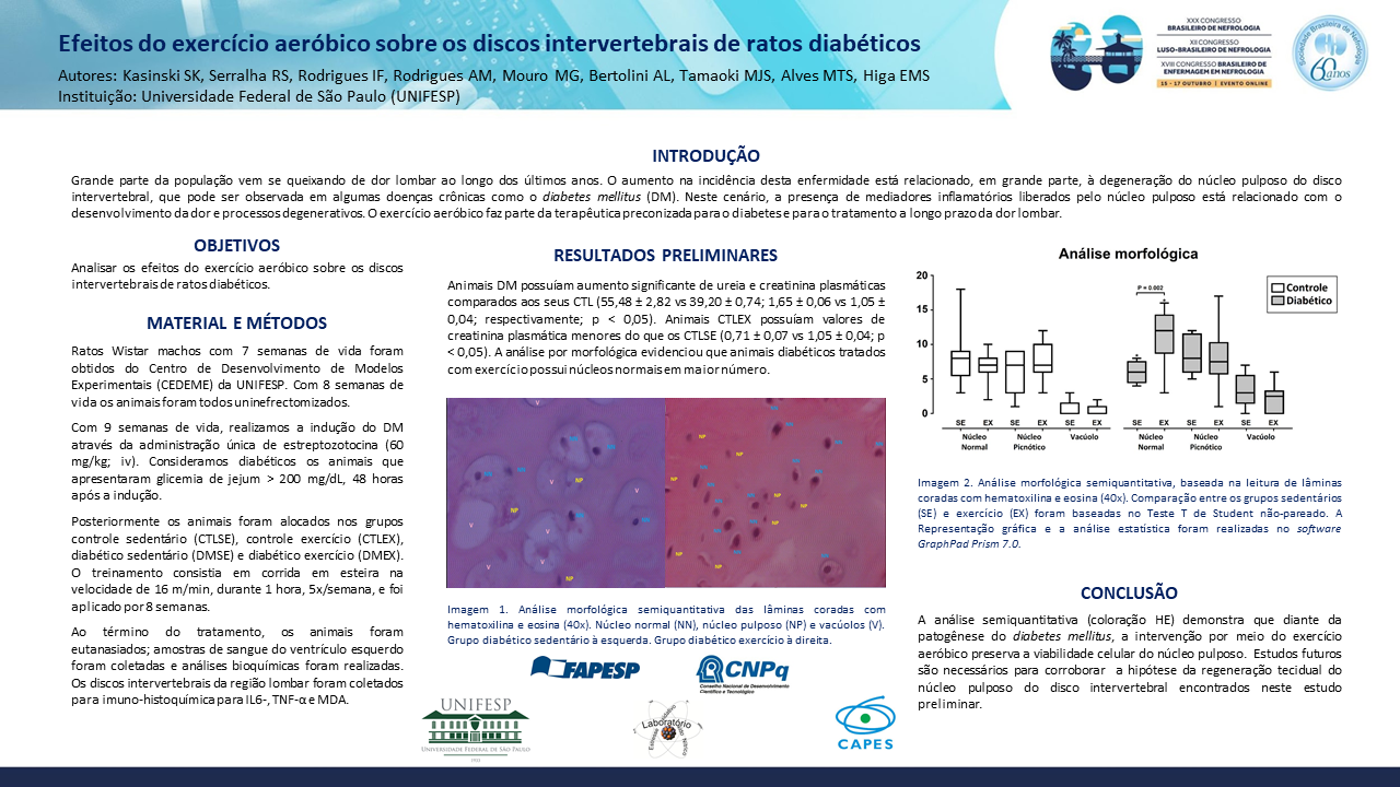 EFEITOS DO EXERCÍCIO AERÓBICO SOBRE OS DISCOS INTERVERTEBRAIS DE RATOS DIABÉTICOS