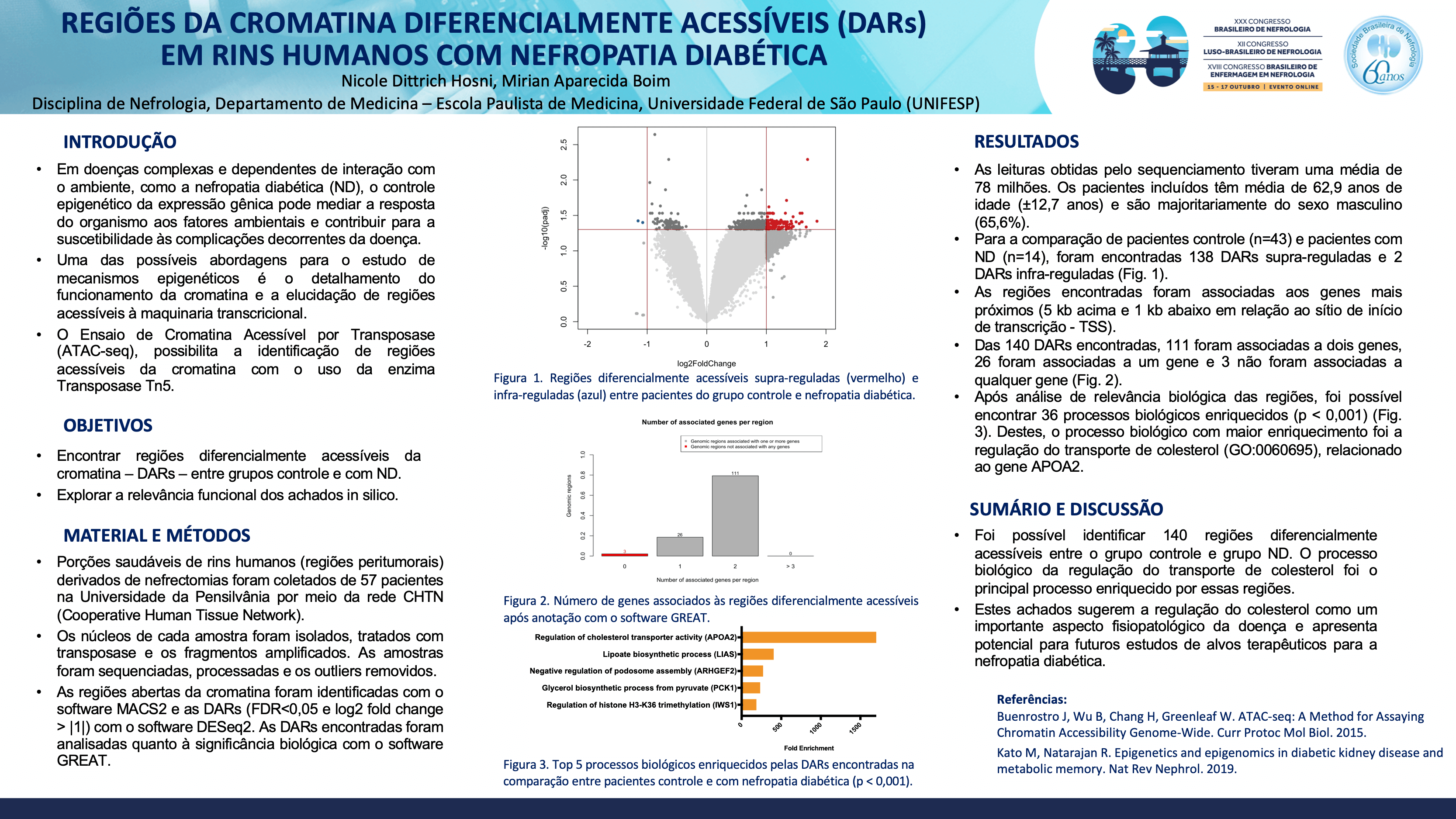 IDENTIFICAÇÃO DE REGIÕES DA CROMATINA DIFERENCIALMENTE ACESSÍVEIS (DARS) EM RINS HUMANOS COM NEFROPATIA DIABÉTICA