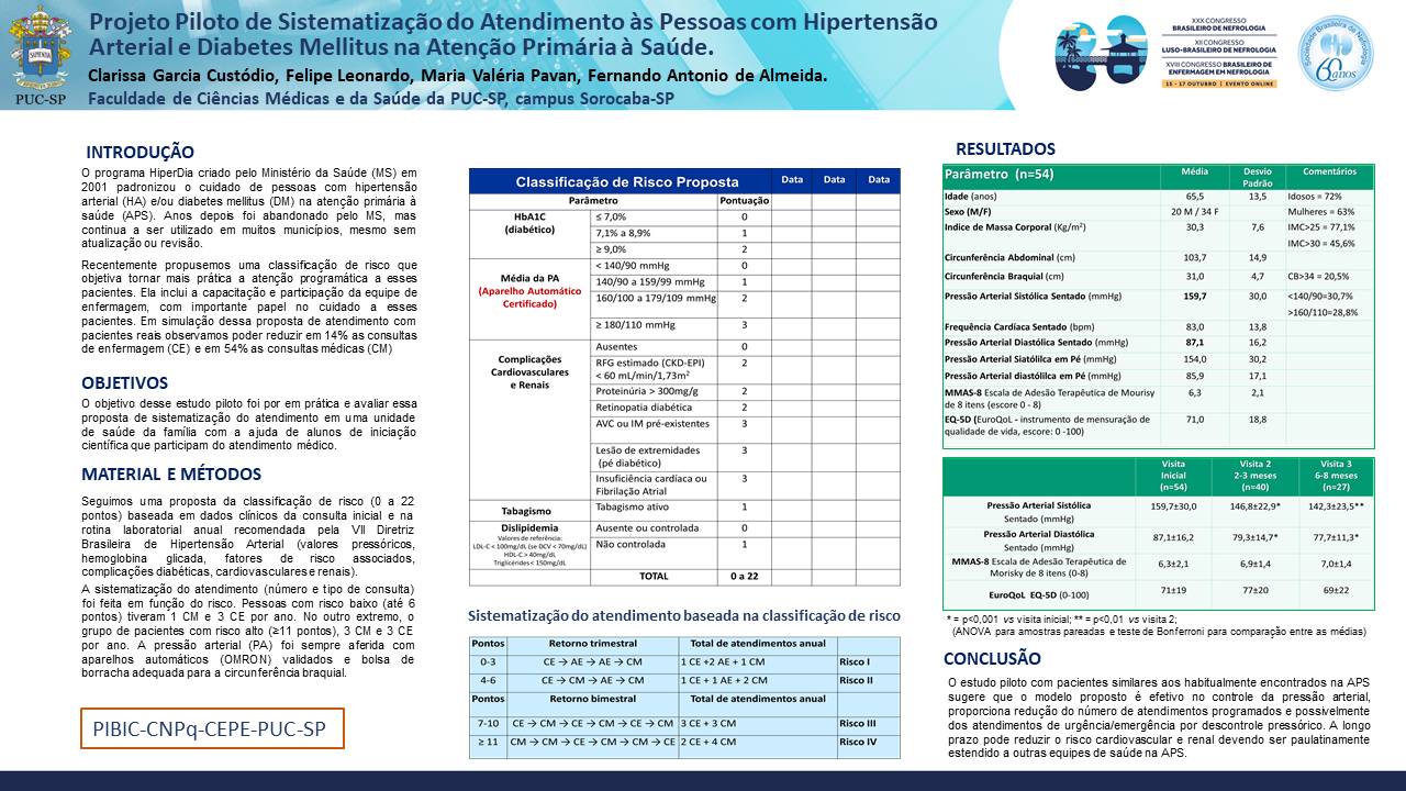 PROJETO PILOTO DE SISTEMATIZAÇÃO DO ATENDIMENTO ÀS PESSOAS COM HIPERTENSÃO ARTERIAL E DIABETES MELLITUS NA ATENÇÃO PRIMÁRIA À SAÚDE